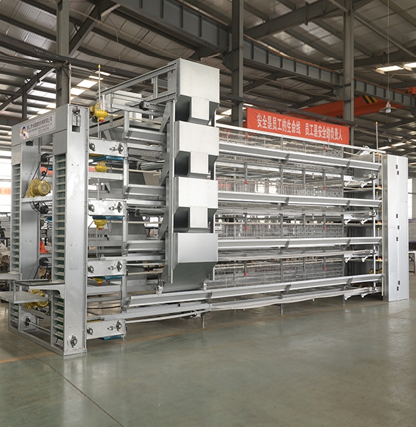 全自动养鸡装备厂家