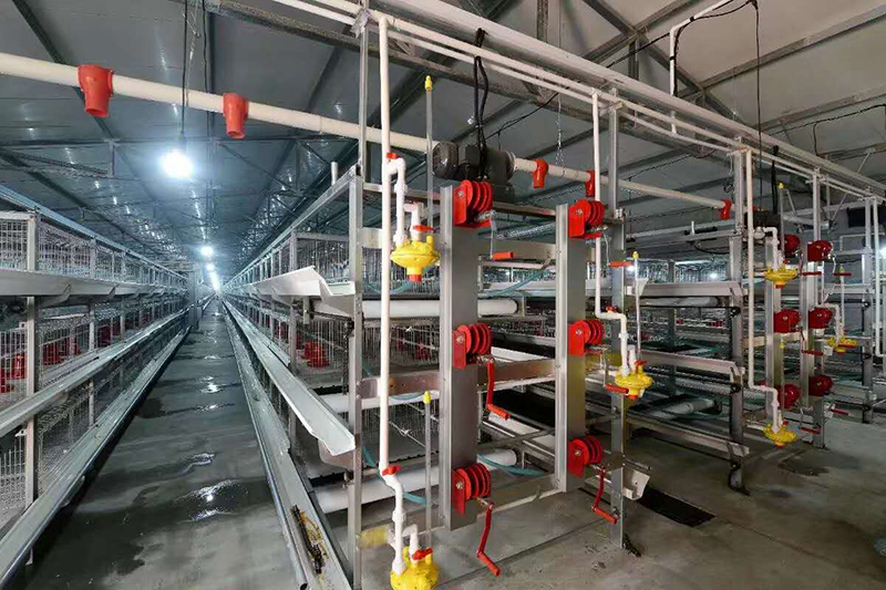 肉鸡装备喂料机为什么会梗塞？？