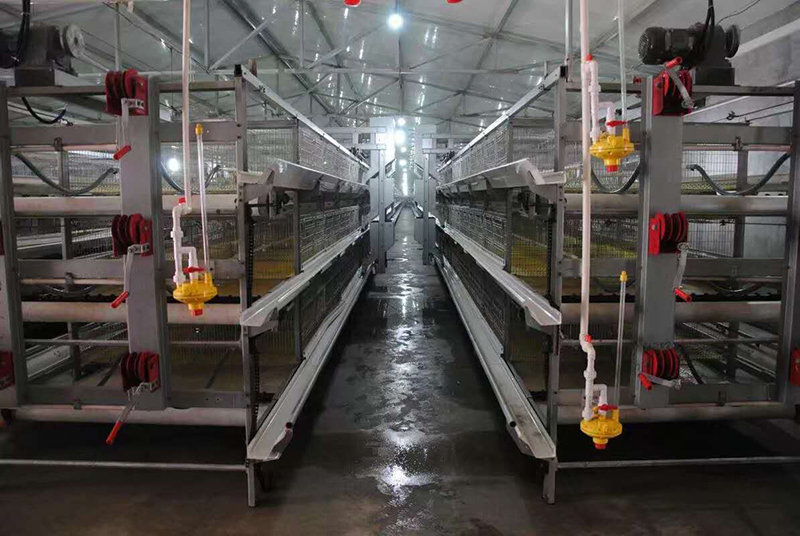 你知道肉鸡装备加料机的组成吗？