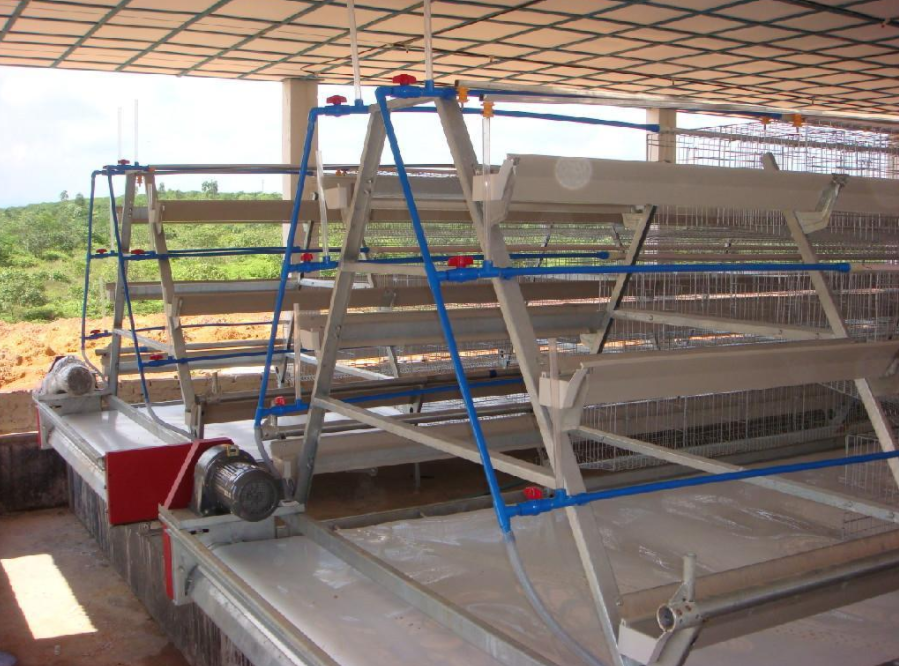 磨练全自动养鸡装备的清静有什么需要注重的事项吗？