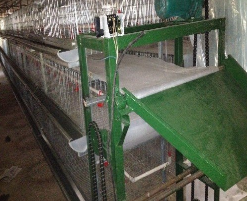 蛋鸡装备传送带式清粪机常见的这些问题你都知道吗？？