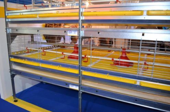 怎样给肉鸡装备风机镌汰噪音吗？？