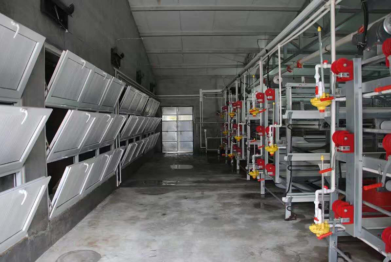 怎样治理肉鸡养殖场的肉鸡装备？？？