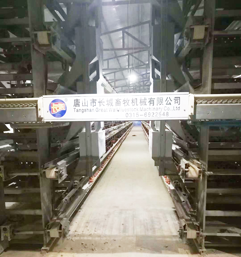 若是您想用自动化装备养蛋鸡，，哪些蛋鸡装备是必不可少的？？